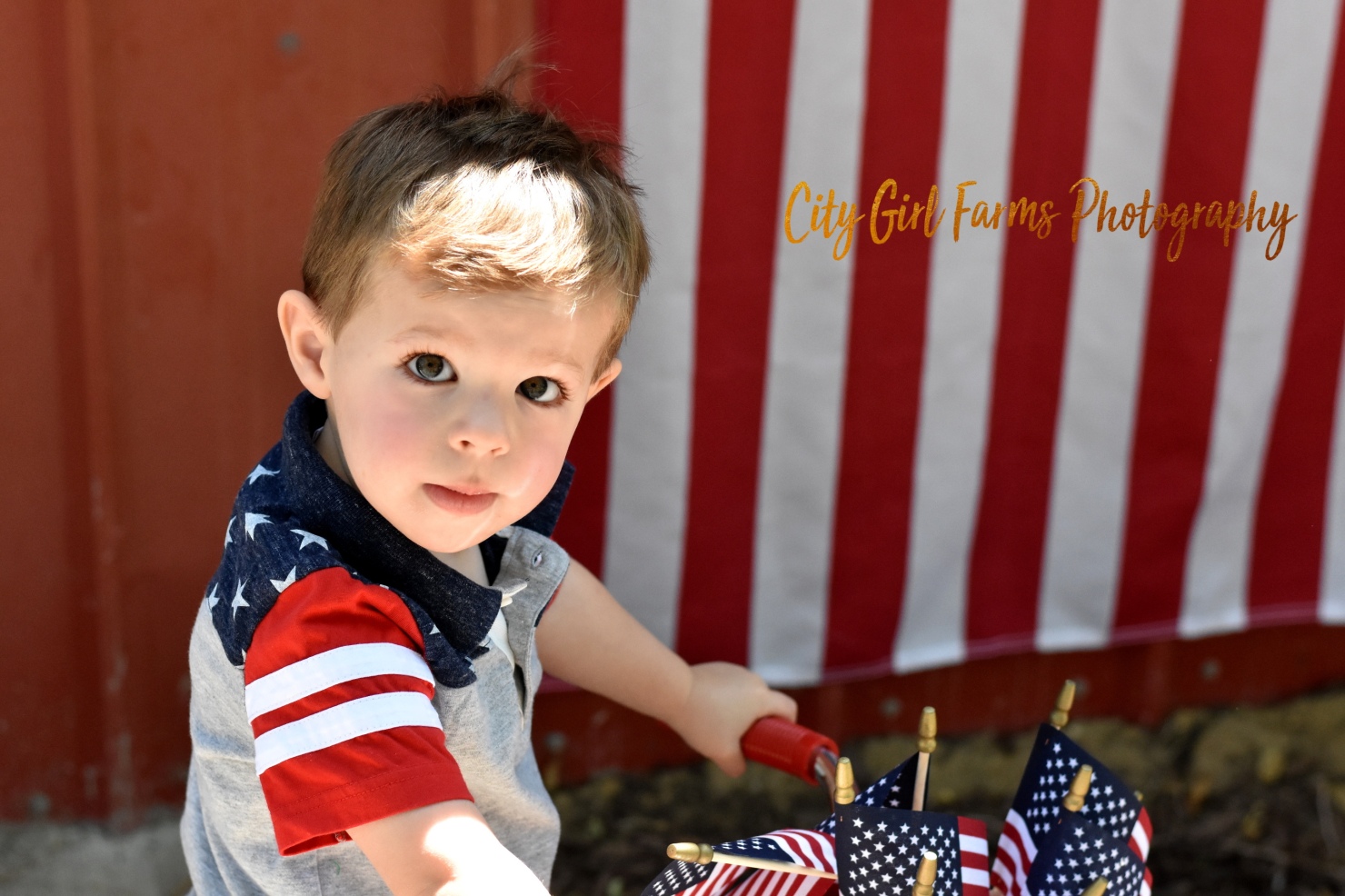 A Little Red, White & Blue – City Girl Farms Photography